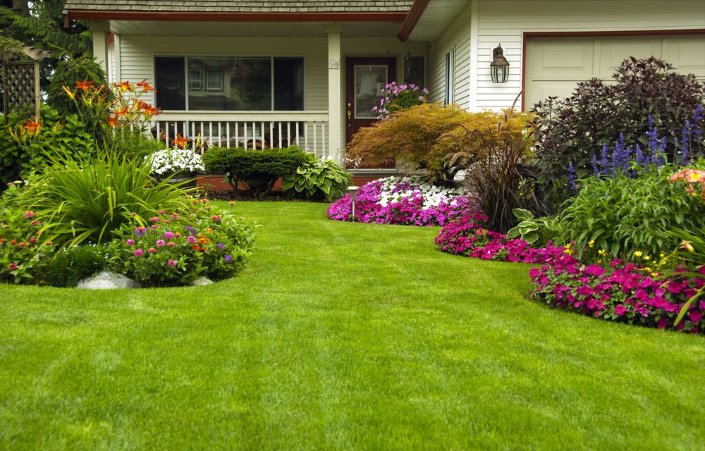 jardinagem em frente de casa